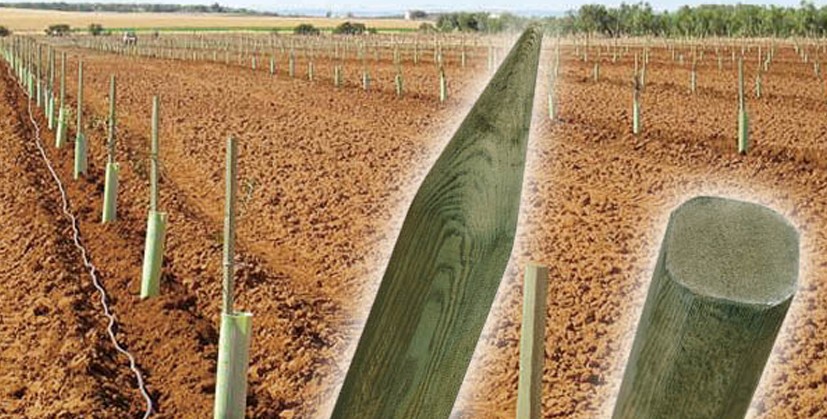 Tutor de madera para cultivo