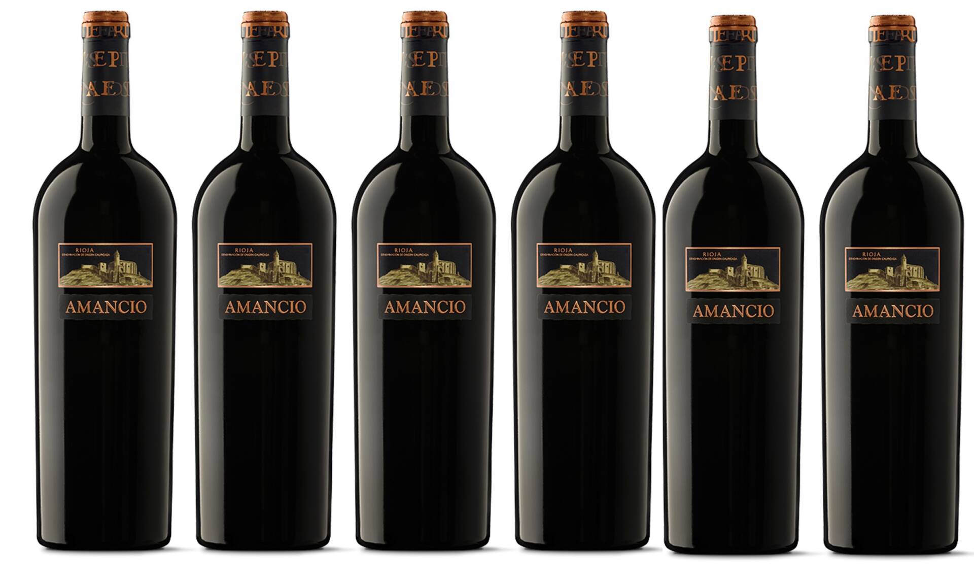 Amancio 2021 caja 6 botellas