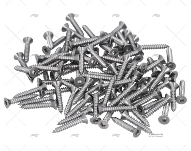 TORNILLO AISI316 4,2x25mm CAB.EXAG. 100u FORESTI SUARDI